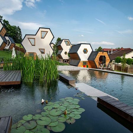 Apartments Beeland Skok Mozirje Eksteriør bilde